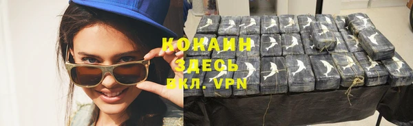 кокс Арсеньев