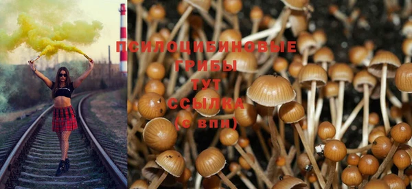 кокс Арсеньев