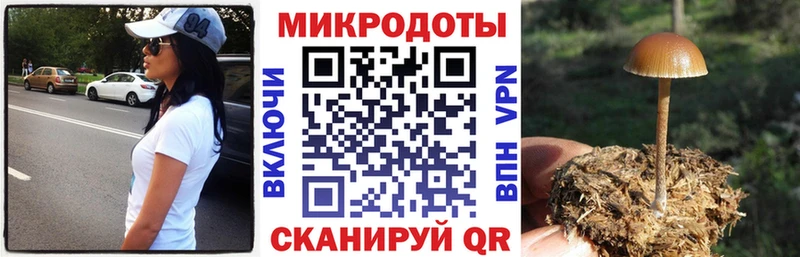 Псилоцибиновые грибы Psilocybe  Барабинск 